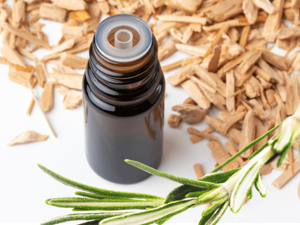 Rosemary Leaf & Cedarwood Fragrance Oil