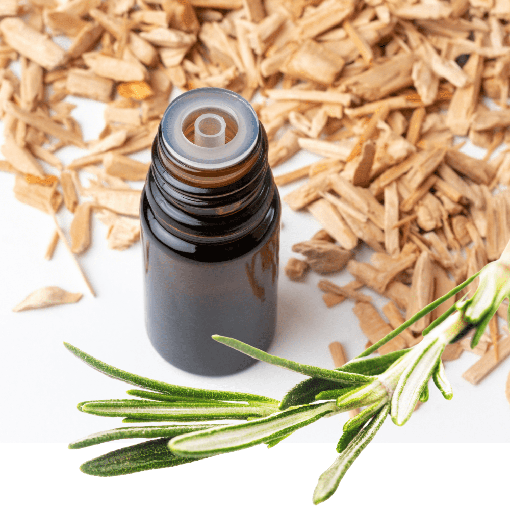 Rosemary Leaf & Cedarwood Fragrance Oil