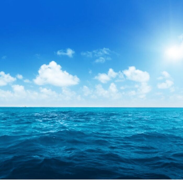 Salt Water Sea Musk