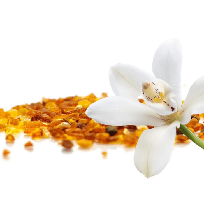 Amber & Vanilla Blossom