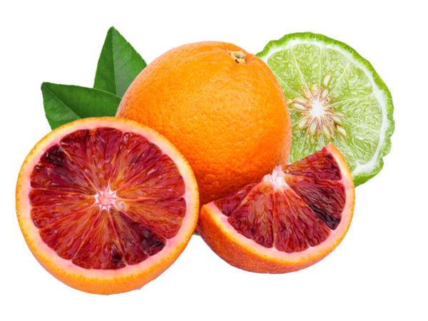 Blood Orange + Bergamot