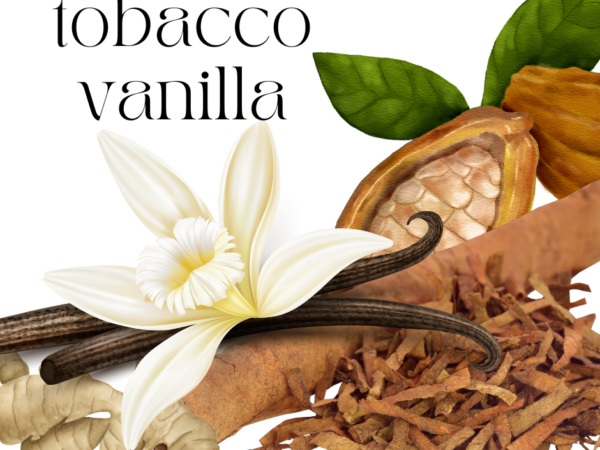 tobacco vanilla- our newest fragrance