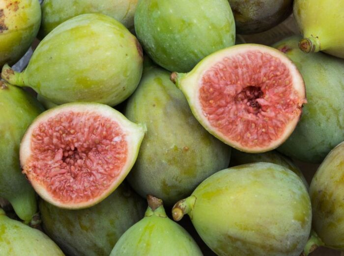 Fig Amour-2