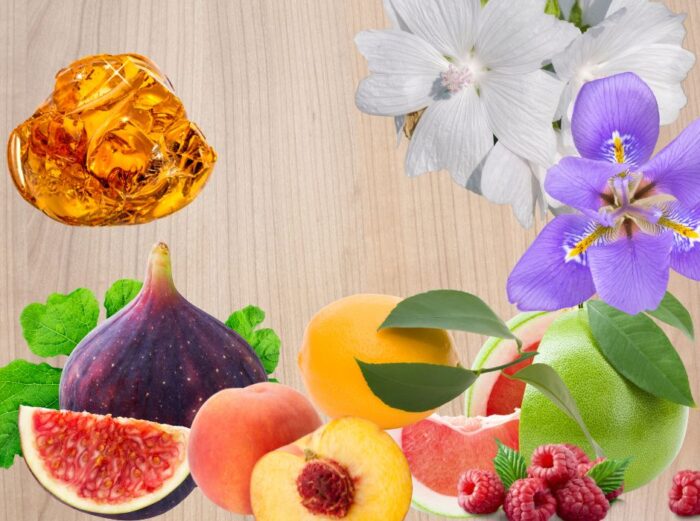Fig Amour -- all the notes