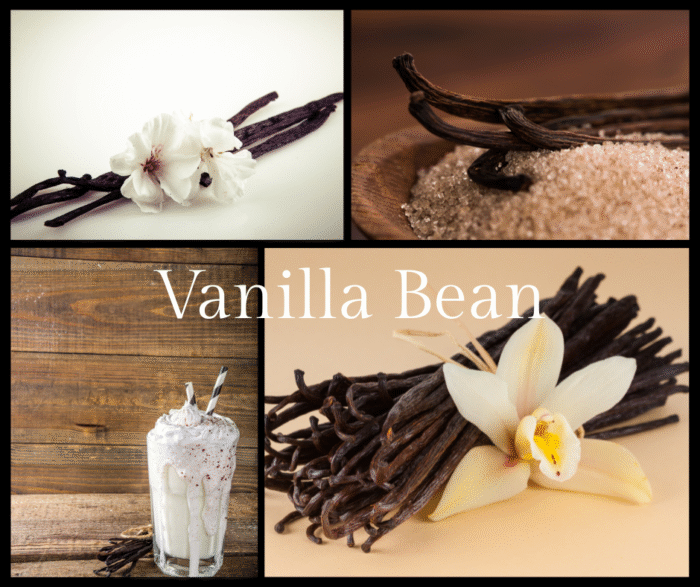 Vanilla Bean Fragrance Oil